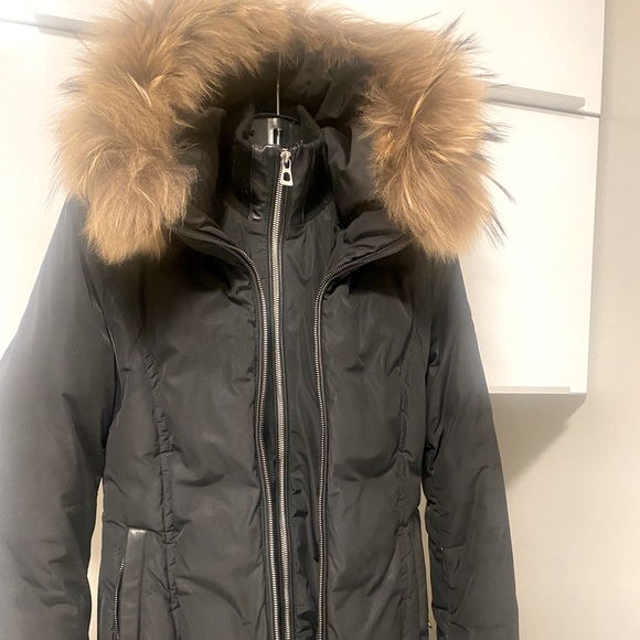 Rudsak winter fitted jacket in black , s/xs - Picture 1 of 11